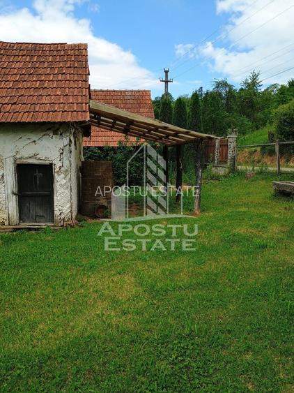 Casa batraneasca de vanzare, 4 camere, in Hunedoara, sat Micanesti - 21