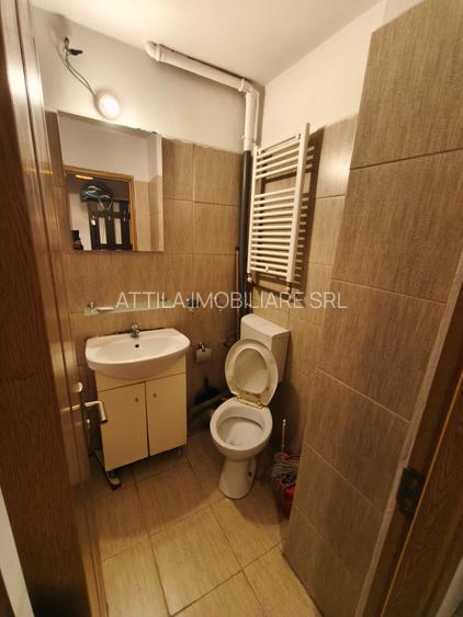 Sagului- Piata Doina 3 camere 400 euro - 7