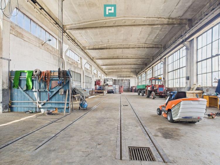 Complex industrial cu hale și teren  în Orțișoara - 36