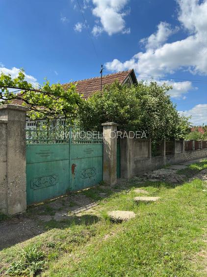 De vânzare | Casă tradițională la sat + teren 1.500 mp. Sat  Săbolciu - 6