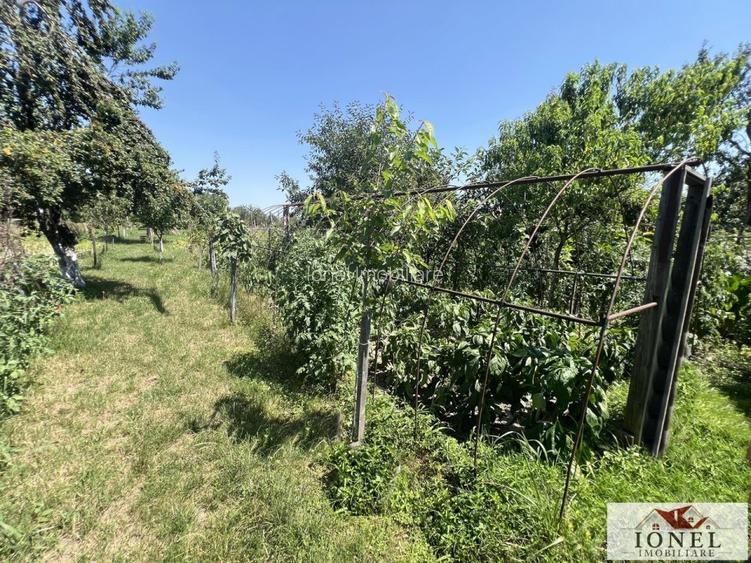 Casa de vanzare in Sibot 2200 mp teren - 10