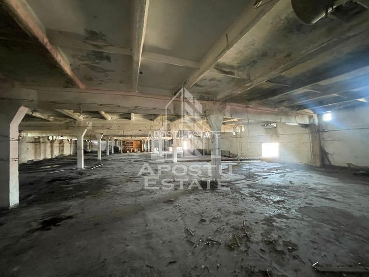 Hala P+E1 3000 mp utili, teren 2788, Dumbravita - 5