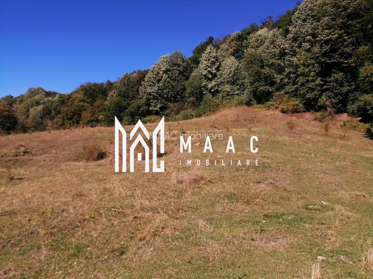 Teren Extravilan 20.000Mp I Stoenești -Vâlcea I Apă Curentă și Pădure - 13