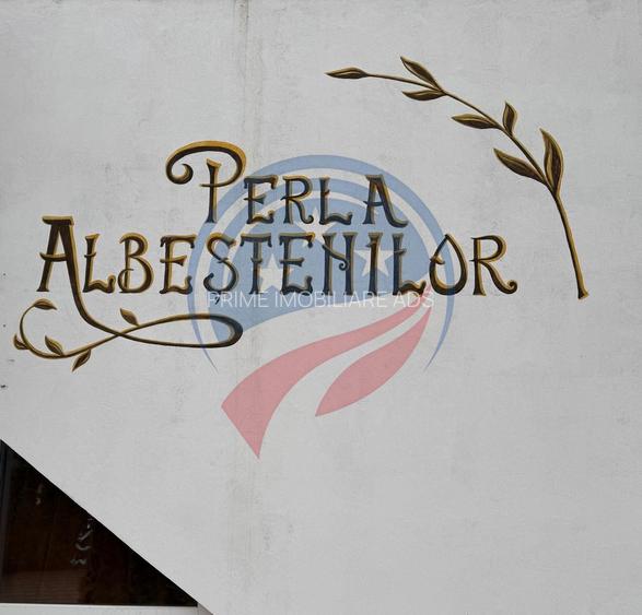 AFACERE FUNCTIONALA SALA EVENIMENTE SI PISCINA - 17
