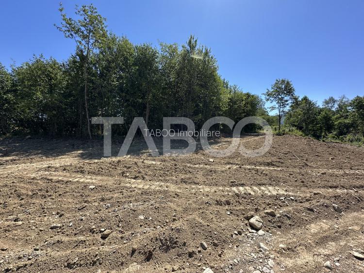 Teren extravilan cu utilitati 1800 mp langa Rau pe Valea Sebesului - 3