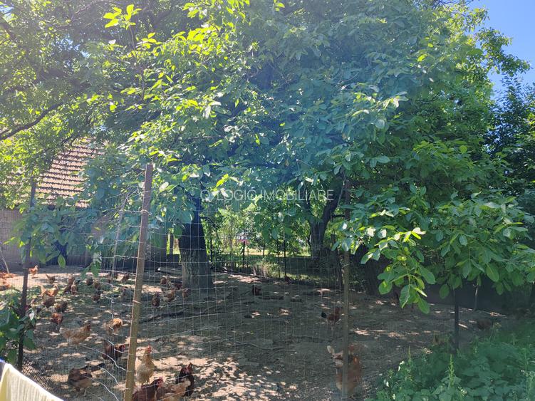 Casa 3 camere libera la vanzare TARLUNGENI - 20