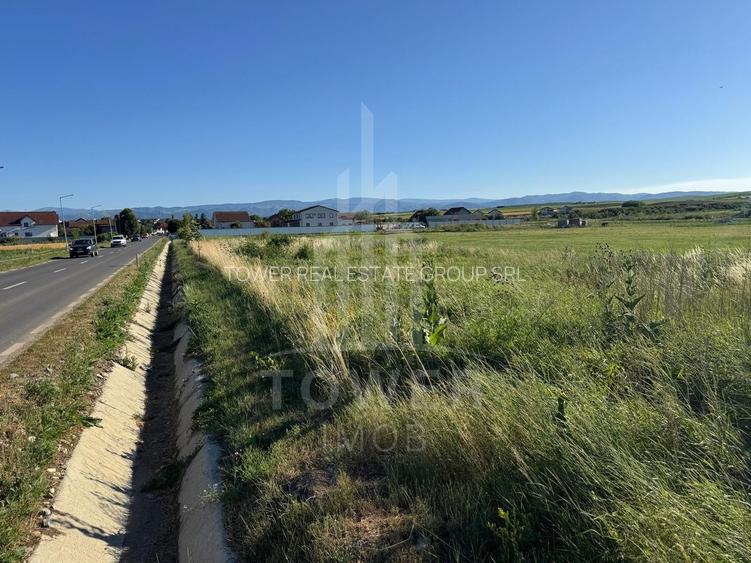 Teren 2500mp Sura Mica - Ocna Sibiului | 162.500 EUR - EXCLUSIVITATE - 6