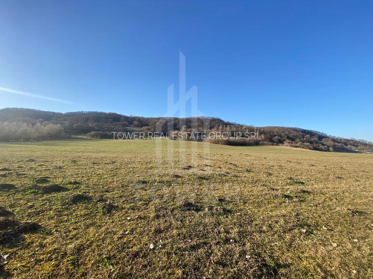 Teren de 7.500 mp de vânzare în Bradu, Avrig-COMISION 0% – lângă râul Olt. - 3