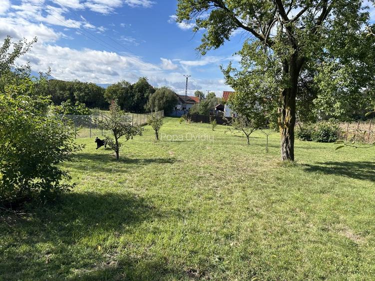 Grădina din Cetate – Un Colț de Istorie și Natură, Doar al Tău - 9