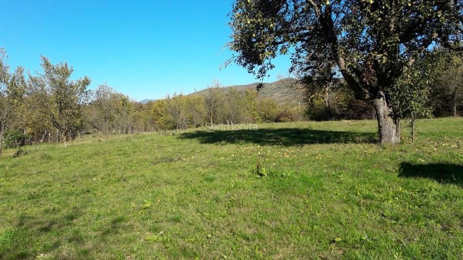 Teren intravilan în sat Făget, com. Drajna, Prahova - 4