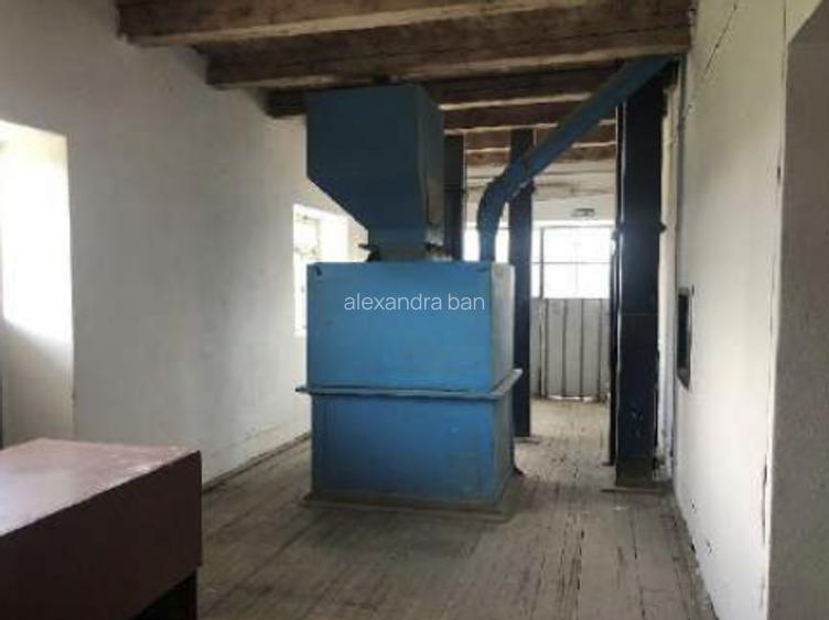 Moară cereale 50 t/zi + afacere funcțională | teren + hale | Bihor - 9