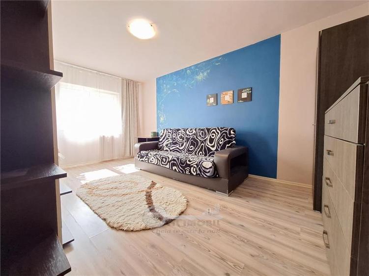 Apartament 2 camere, mobilat si utilat, interesctia Podu de Fier - 7