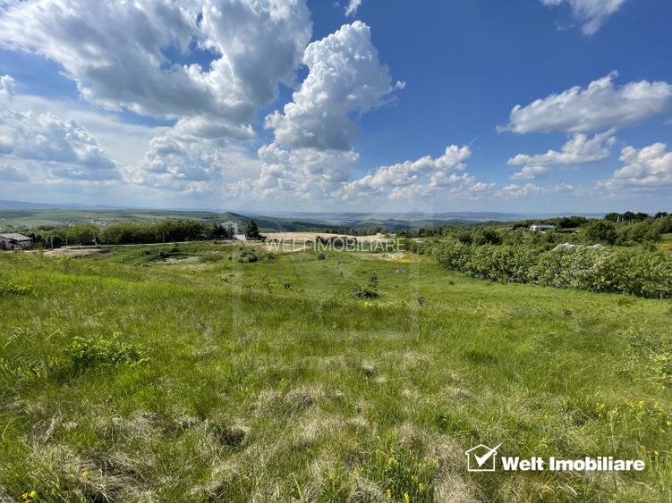 Teren superb in Salicea, 3695 mp, PUZ, drum, apa si curent, zona “La Mesteceni” - 3