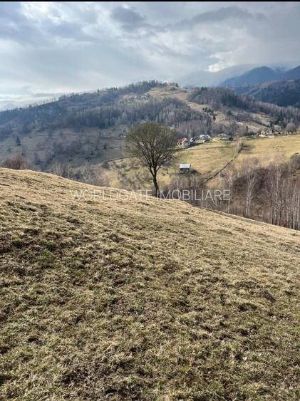 Vanzare Teren cu Punct de Belvedere in Moieciu zona Magura-Pestera - 12