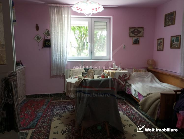 Casa buna locuibila sat Dumbrava Capusu Mare - 4