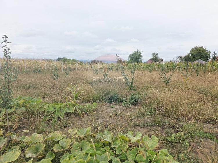 Casă cu livadă și teren generos – Girov - 51