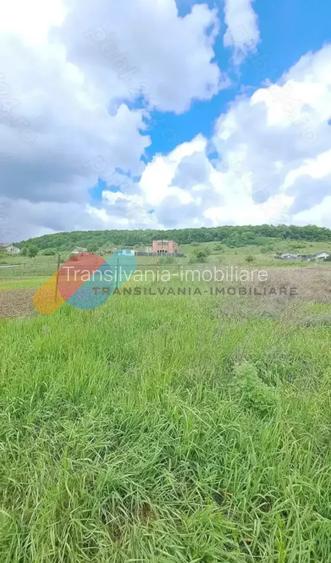 Teren extravilan , 637mp, Lomb - 3