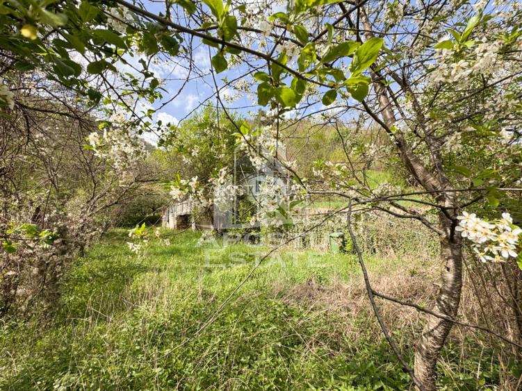 Casa batraneasca cu 2 camere, vedere panoramica, in Toplita, Hunedoara - 11