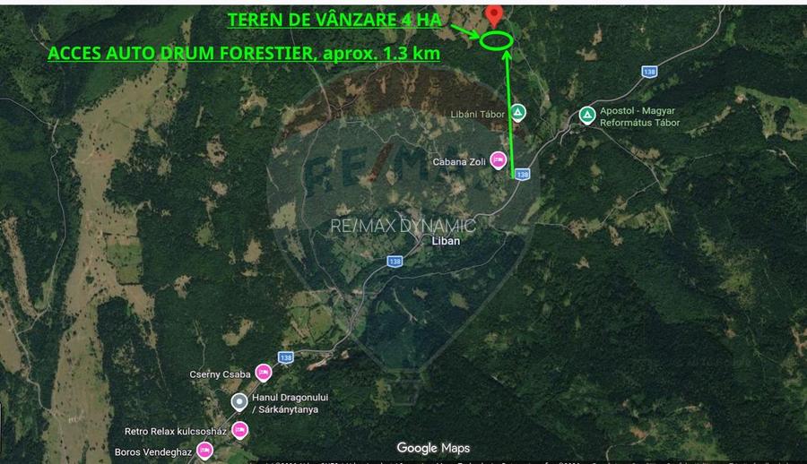 Vânzare teren extravilan, 4 ha pădure, zona turistică Liban, Harghita - 7