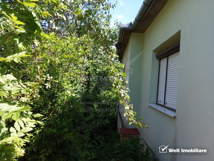 Casa buna locuibila sat Dumbrava Capusu Mare - 12