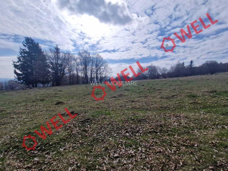 De vânzare teren extravilan în localitatea Brădet! - 6