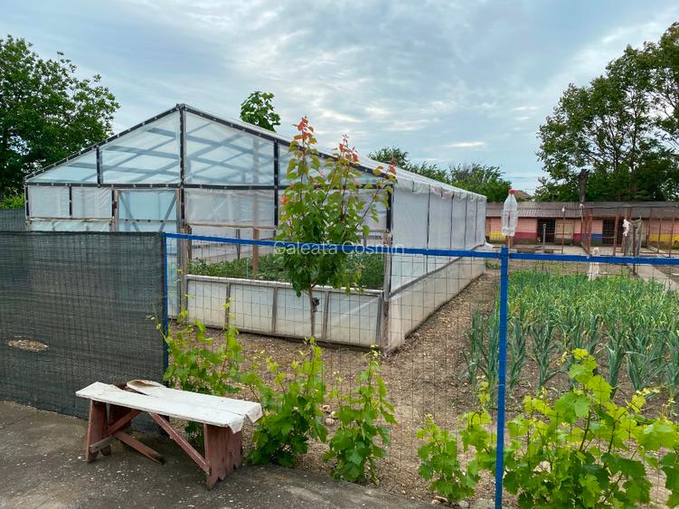 Vând casă județul Teleorman cu utilități de microfermă - 5