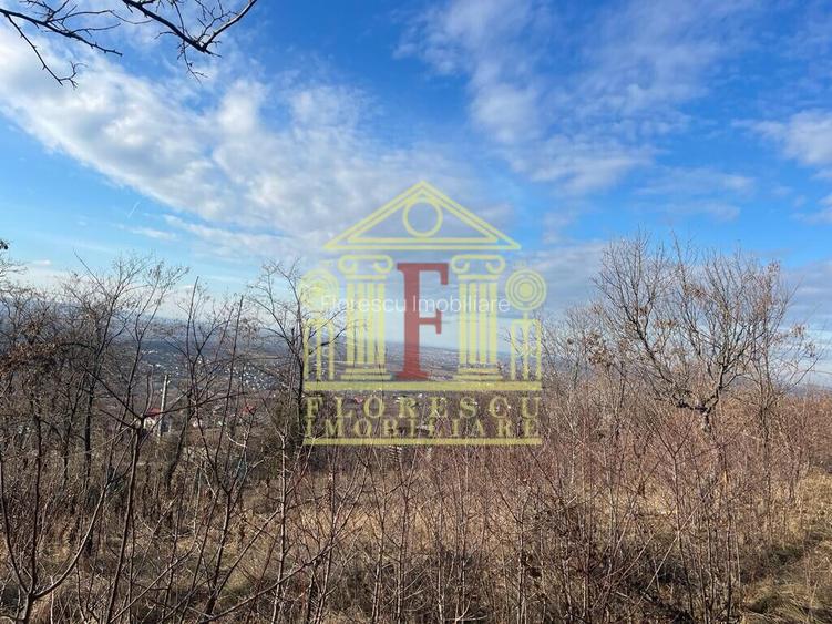 Teren Barnova  ! - 2