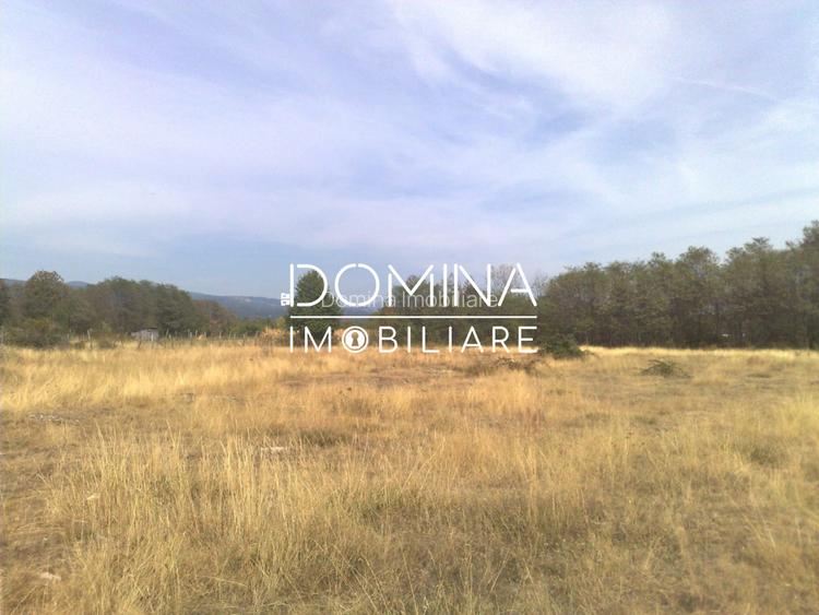 Vanzare teren intravilan 6843 mp, aproape de Manastirea Polovragi - 5