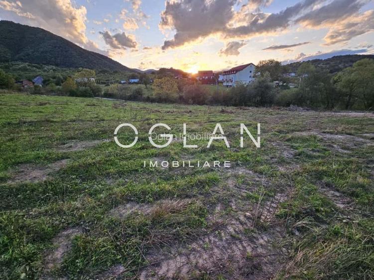 Teren cu PUZ si utilitati, Cisnadie, COMISION 0% - 2
