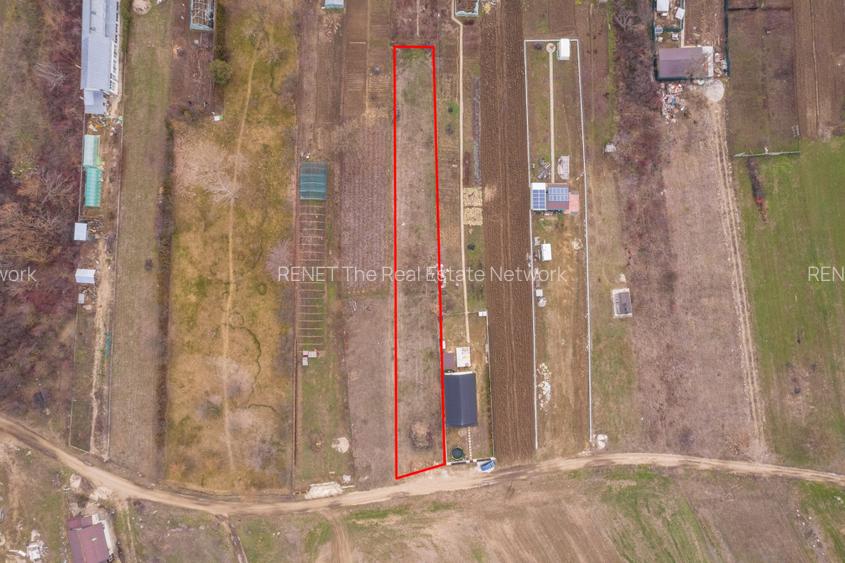 CORNETU, TEREN CONSTRUCTII 1293 MP, FRONT 12,50M! - 14