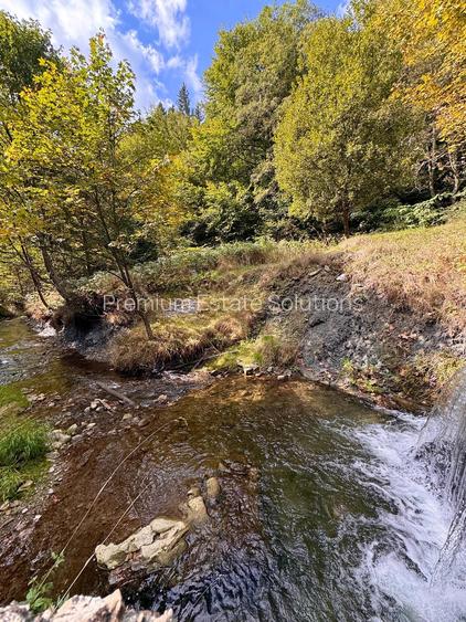 Vila de Vânzare în Cheia, Prahova - Relaxare și Confort într-un Cadru Natural de - 55