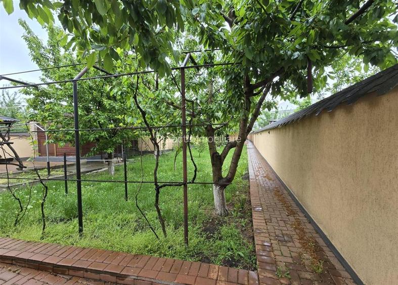 Cladire Multifunctionala 480 mp + 5000 mp Teren | Darabani | Ideal Business sau - 28