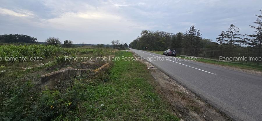 LIVADA  DE VANZARE FOCSANI-DUMBRAVITA  1,8  HA - 35