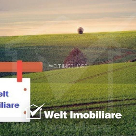 Vanzare teren constructii 500mp Chinteni - 2