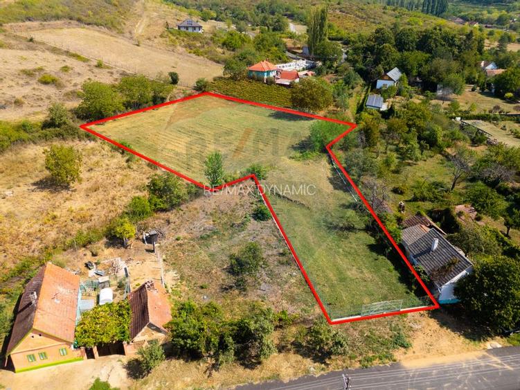 Miniș- destinația ideală pentru o resedință de lux în inima naturii. - 2