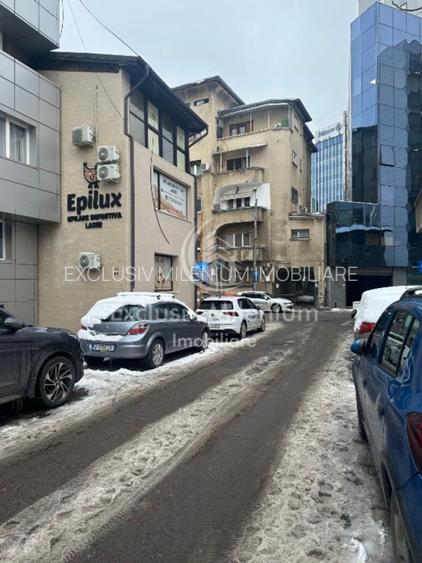 Victoriei Birouri /Vila Pasaj Basarab - Nicolae Titulescu Banu Manta - 6