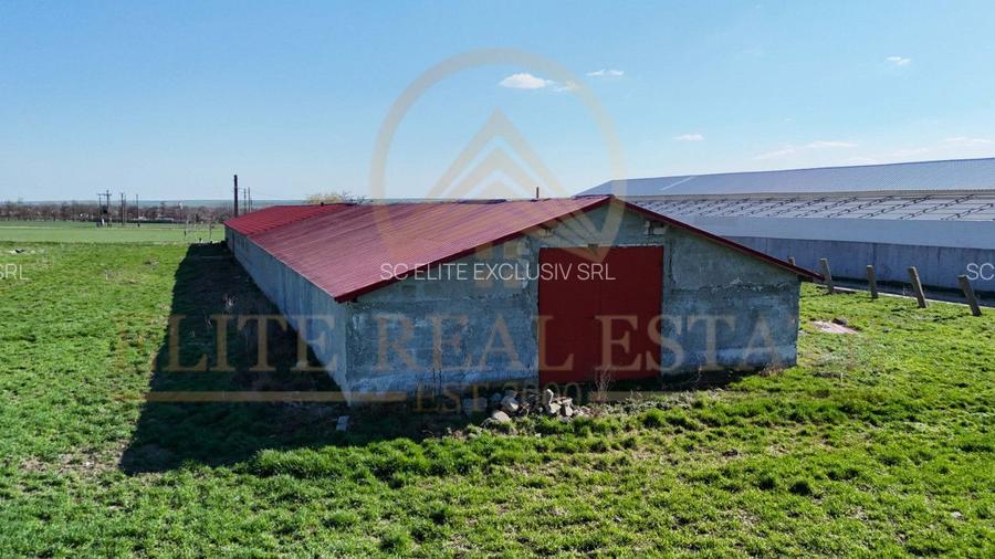 Tariverde - Ferma zootehnica functionala, 3 hectare teren intravilan! - 9