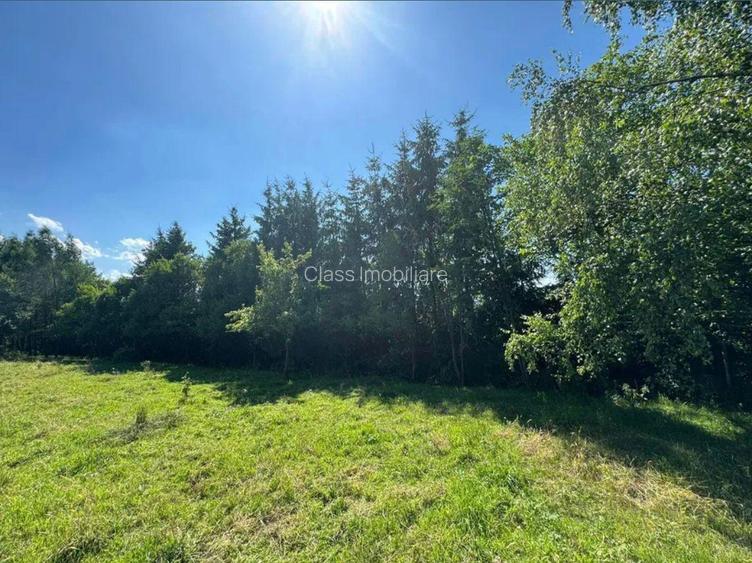 Teren intravilan de 5.755 mp în Doboeș, Sighetu Marmației - 7