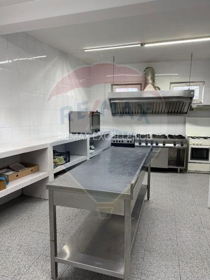 Casă / Vilă cu 8 camere de vânzare în zona Central - 5