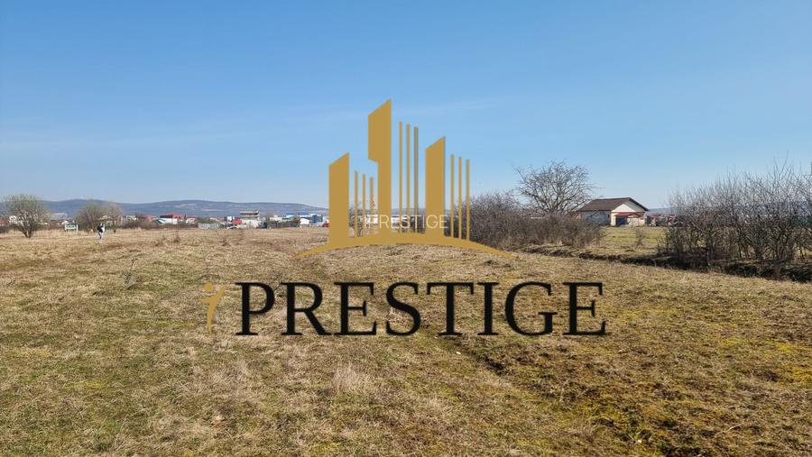 TEREN DE VÂNZARE 1000 MP ȘELIMBĂR ZONA TROIȚĂ | INVESTIȚIE - 4