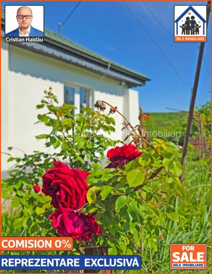 Casa renovata 141mp   Teren 10.000mp | Podenii Vechi - PH - 16