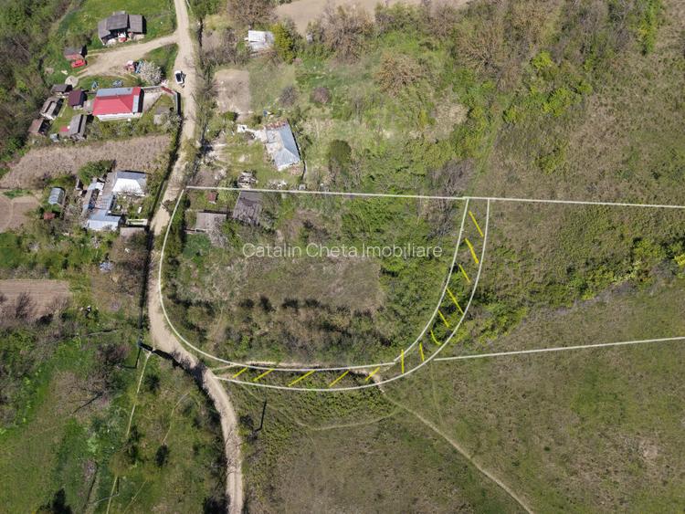 Teren de vanzare + casa in Gorghesti, Bacau – 7.391 mp, zona linistits de deal - 5