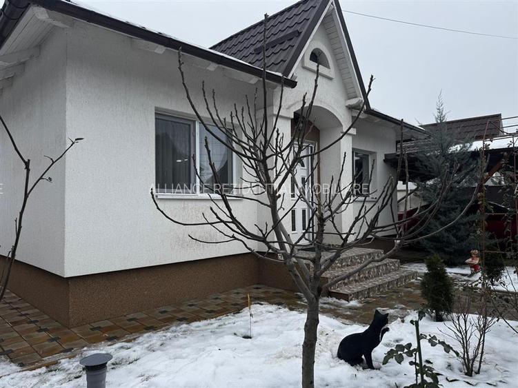 Casa individuala Comuna Berceni - 2