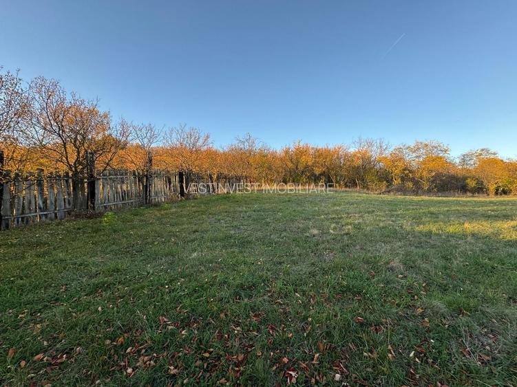 Teren intravilan 3323 Husasau de Cris - 2