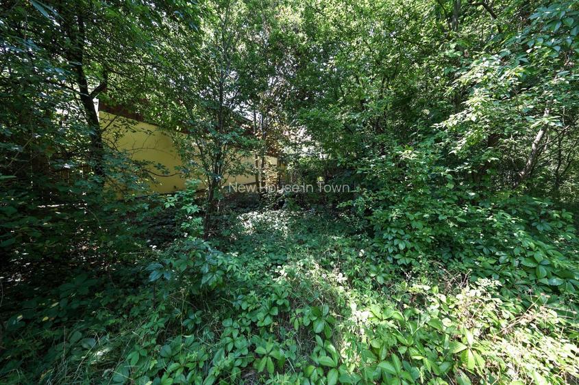 Casă spațioasă în centrul orașului Sfântu Gheorghe | Teren 1300 mp - 12