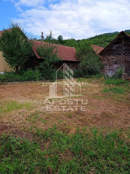Casa batraneasca de vanzare, 4 camere, in Hunedoara, sat Micanesti - 33