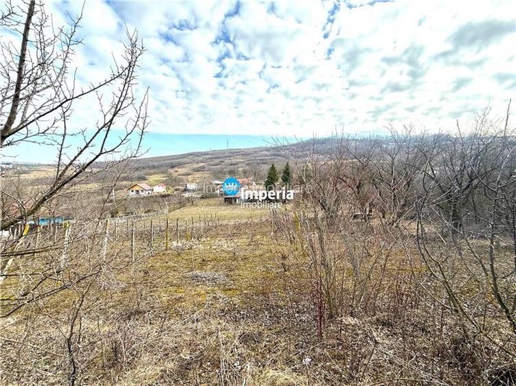 Teren intravilan 4800 mp, investitie,  utilitati complete, Dancas Miroslava - 3