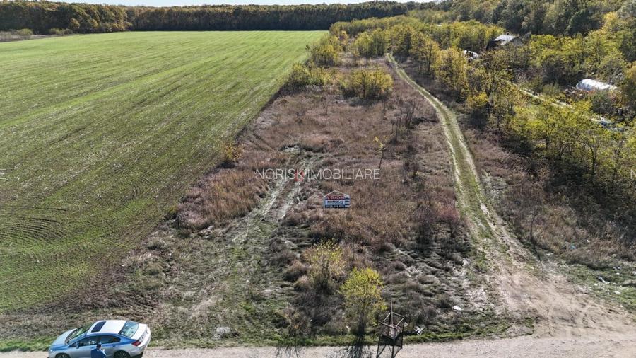 Snagov padure - Teren intravilan cu PUZ aprobat - 4