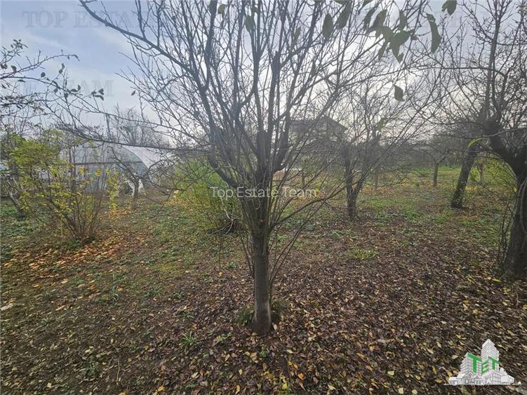 Teren 2000mp intre case langa Padurea Teghes - 5