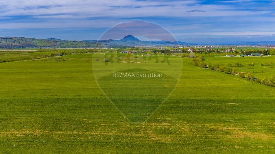 Teren 3000mp de vânzare în Râșnov / Pănicel - 8